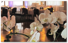 gallery/thumbnails/image23.png