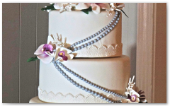 gallery/thumbnails/image37.png